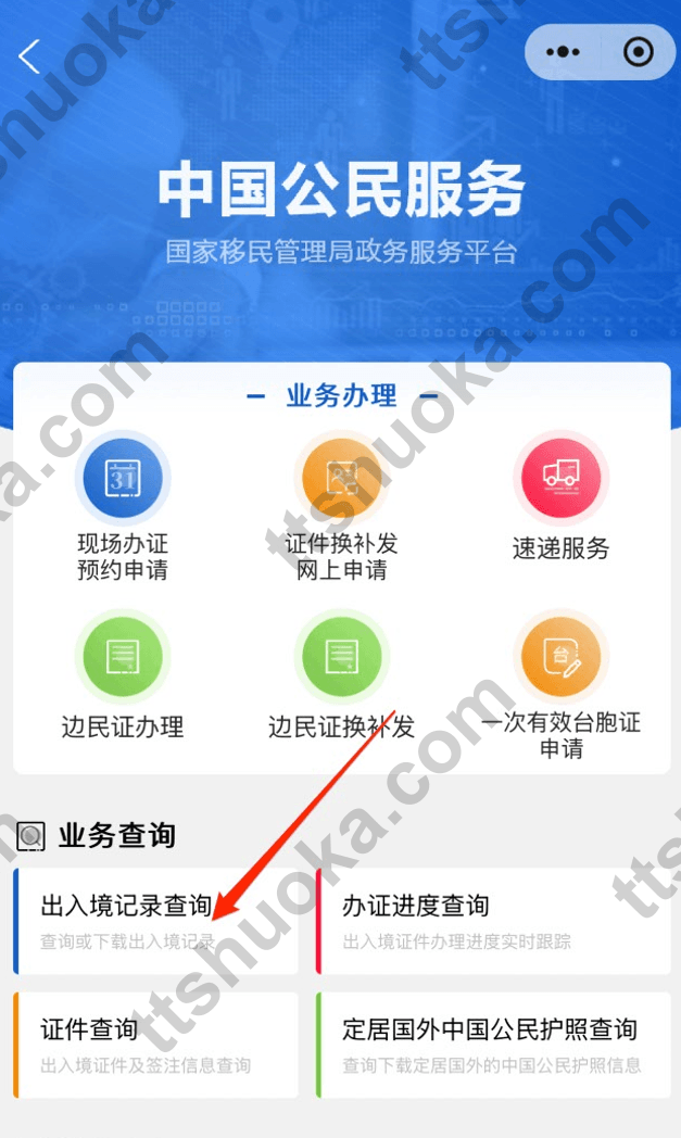 出入境记录 PDF 文件示意图