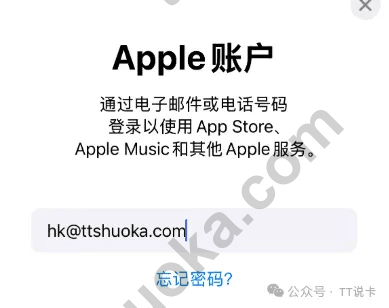 登录外区 Apple ID 时输入邮箱的界面截图