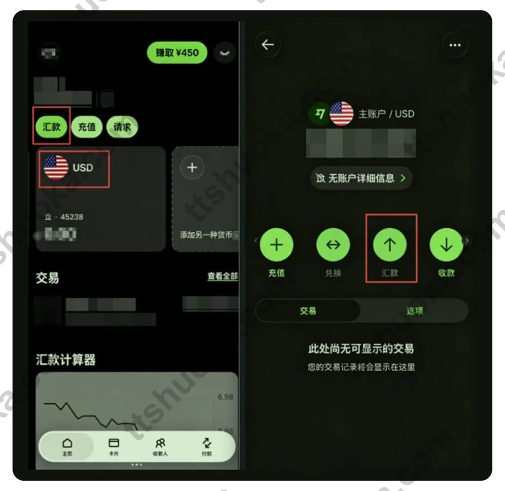 Wise选择美元账户并进入汇款页面