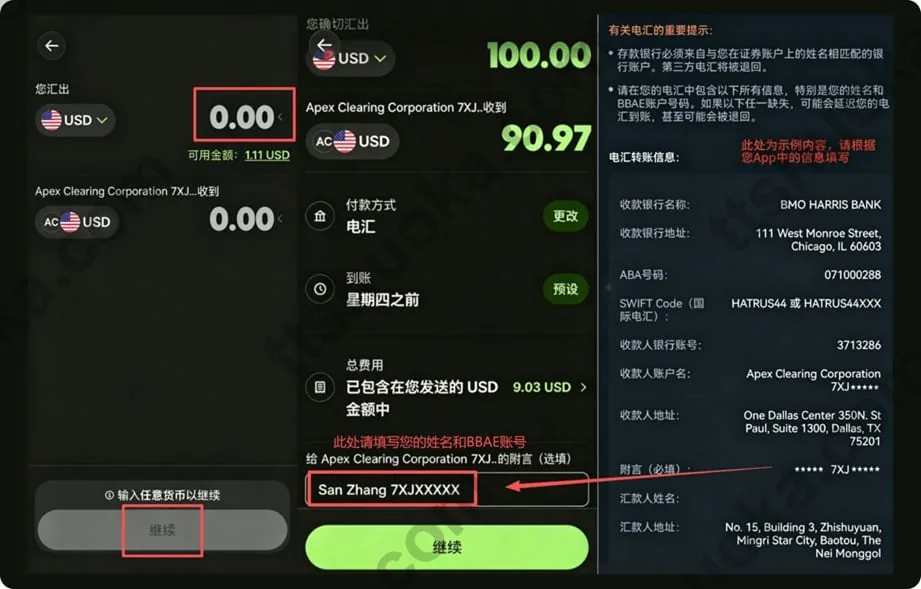 Wise输入美元汇款金额并在附言备注填写姓名和BBAE账号