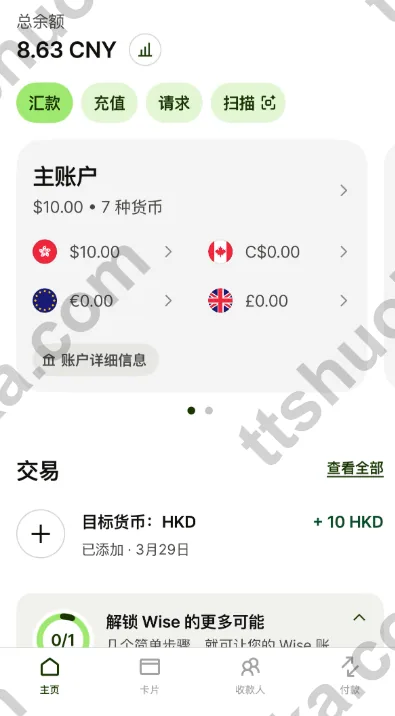 Wise 账户首页与多币种余额界面示意图