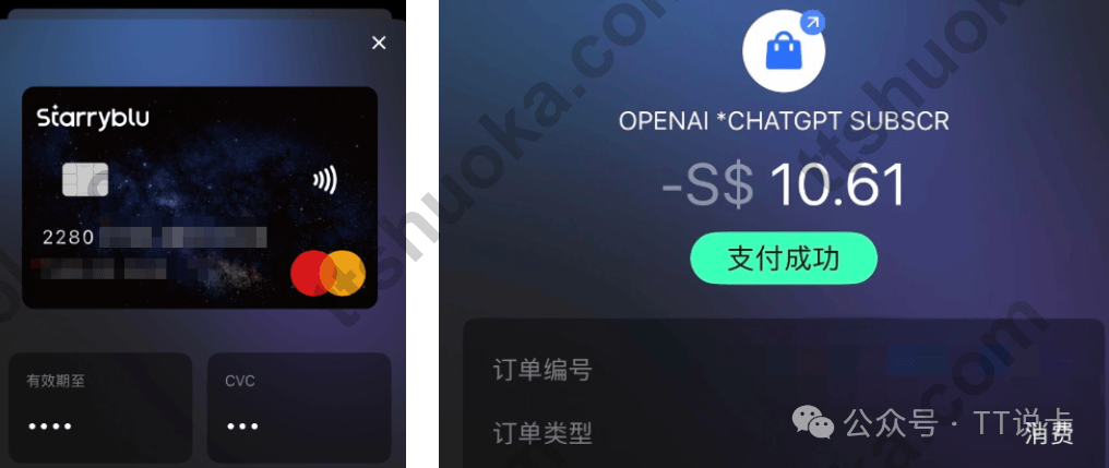 Starryblu卡片详情与OPENAI CHATGPT订阅支付成功记录