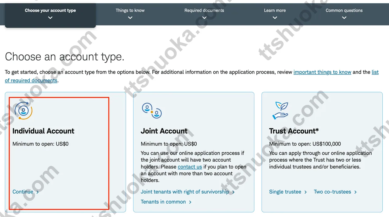 嘉信国际账户选择 Individual Account 个人账户类型页面