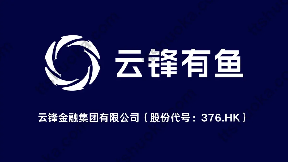 云锋有鱼品牌与云锋金融集团背景