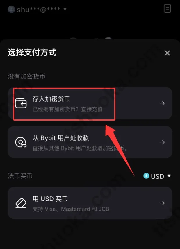 Bybit 选择存入加密货币的界面示例