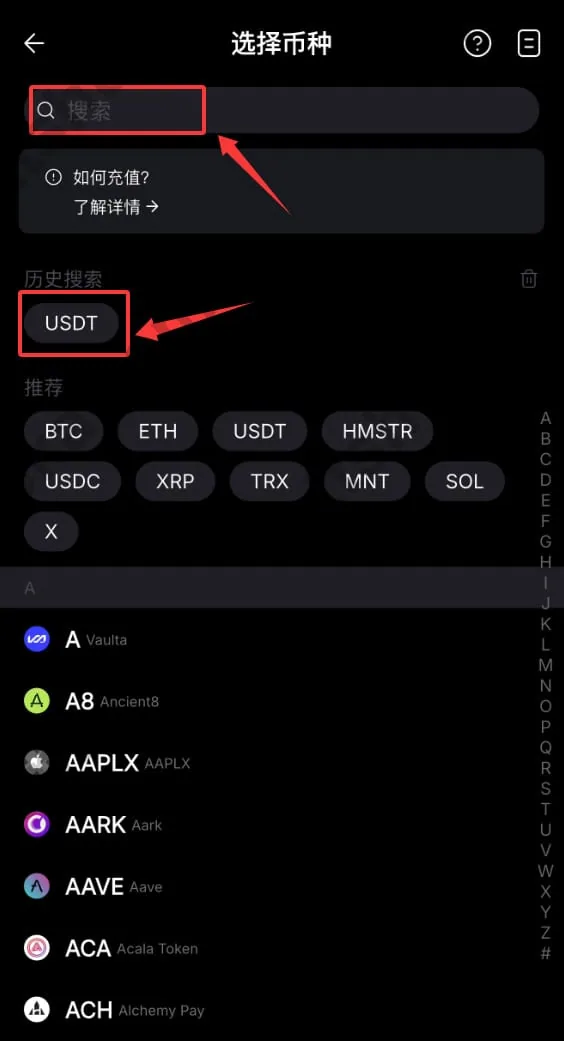 Bybit 充值页面选择 USDT 币种的界面示例