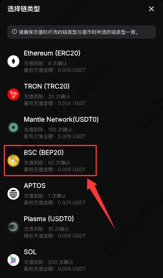 Bybit USDT 充值页面选择区块链网络的界面示例
