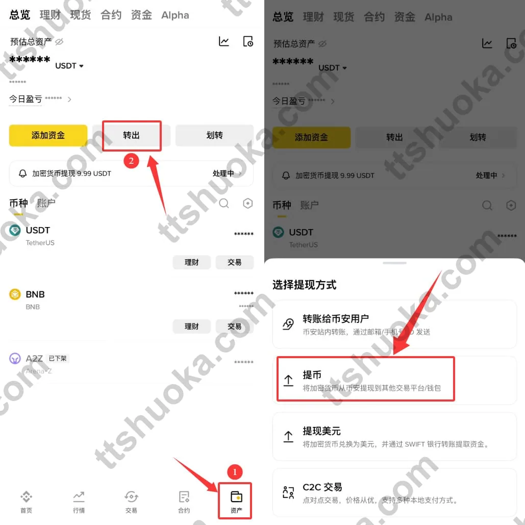 发币平台资产页面进入提币入口的界面示例